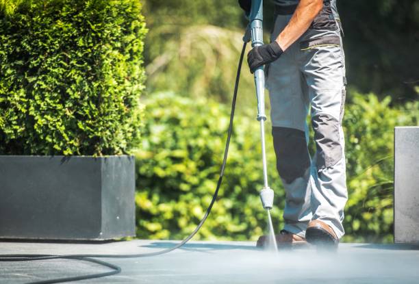 Best Pre-Holiday Cleaning  in Stokesdale, NC